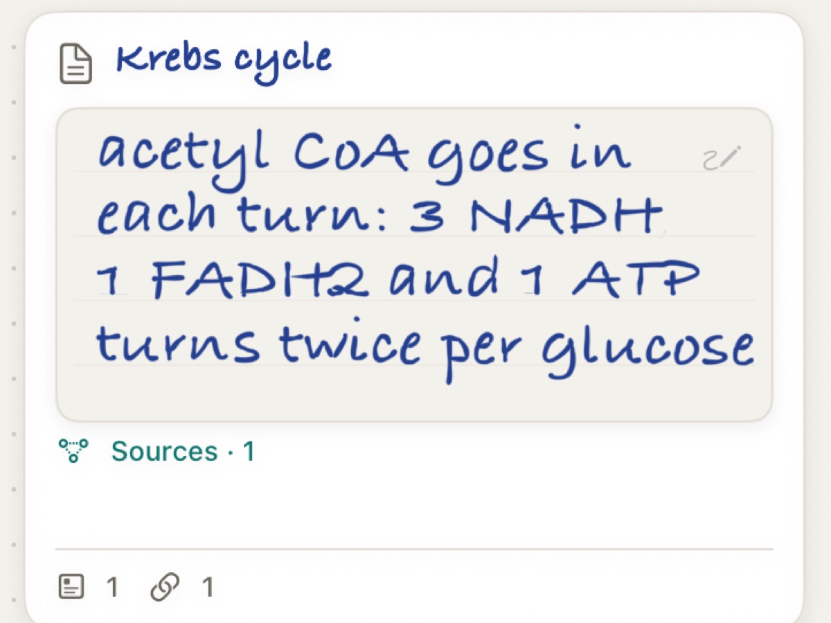 A card on a board with handwritten notes about the Krebs cycle under its handwritten title.