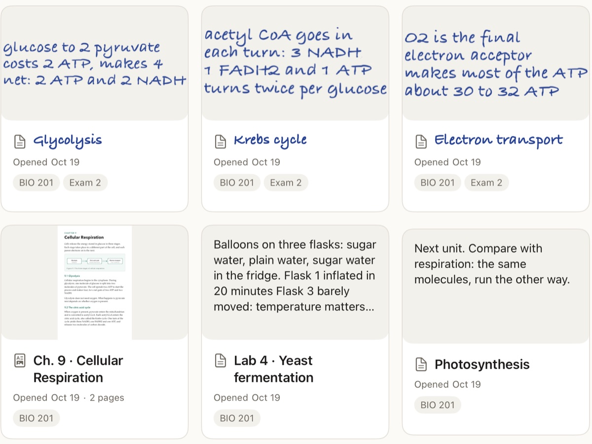 The Docs browser showing docs named by their handwritten titles: Glycolysis, Krebs cycle, Electron transport.